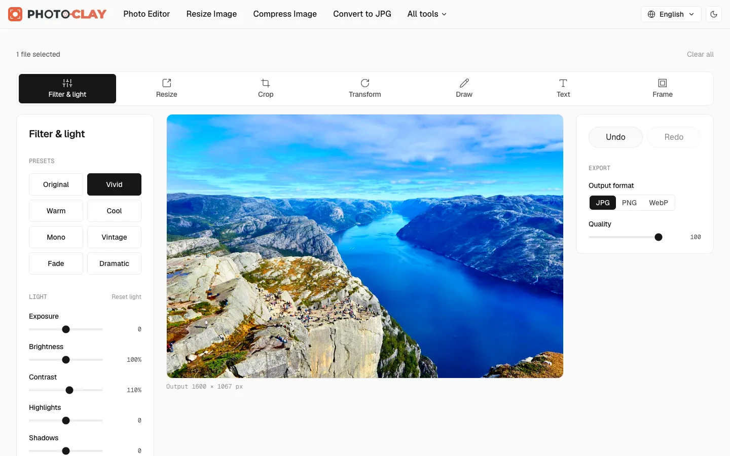 Photo Editor with the Vivid preset applied to a fjord landscape, showing light sliders and export options